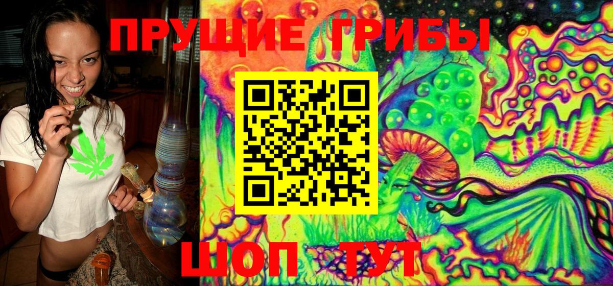 Псилоцибиновые грибы Psilocybine cubensis Ртищево