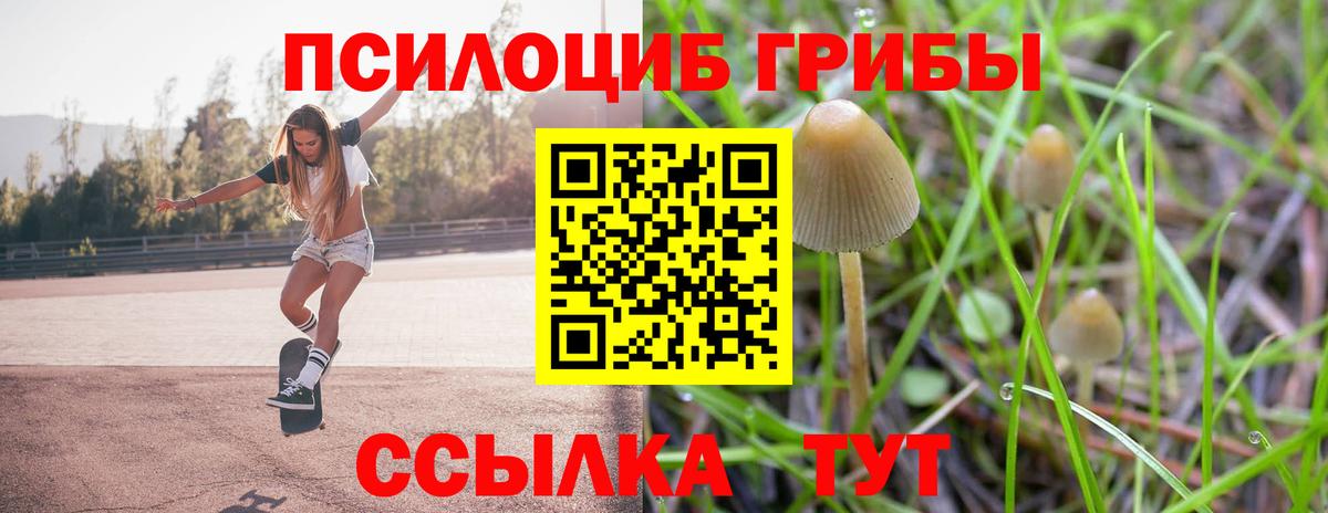Ртищево  Галлюциногенные грибы мицелий  Вход с VPN 